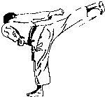 Ushiro Geri