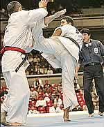 Ushiro Geri