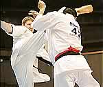 Ushiro Mawashi Geri