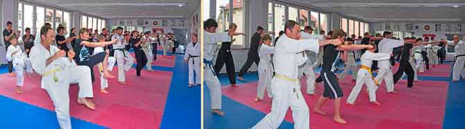 kampfkunstschule eisheuer Training